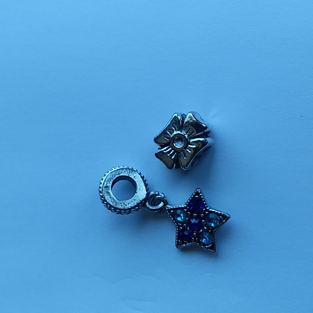 Pandora Charms